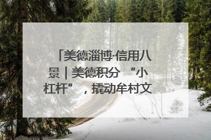 美德淄博·信用八景｜美德积分 “小杠杆”，撬动牟村文明 “大能量”