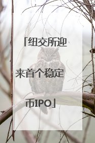 纽交所迎来首个稳定币IPO