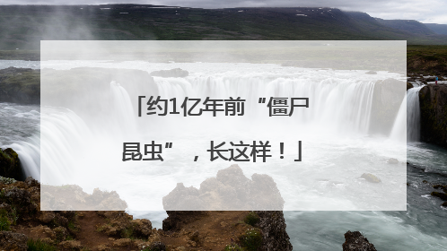 约1亿年前“僵尸昆虫”，长这样！