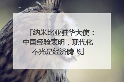 纳米比亚驻华大使：中国经验表明，现代化不光是经济腾飞