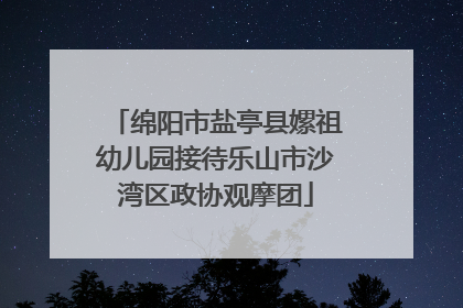 绵阳市盐亭县嫘祖幼儿园接待乐山市沙湾区政协观摩团