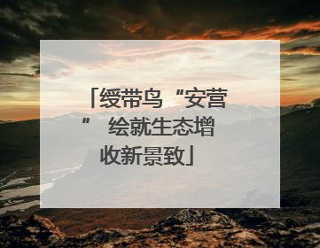 绶带鸟“安营” 绘就生态增收新景致