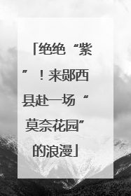 绝绝“紫”！来郧西县赴一场“莫奈花园”的浪漫