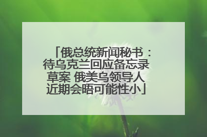 俄总统新闻秘书：待乌克兰回应备忘录草案 俄美乌领导人近期会晤可能性小