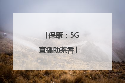 保康：5G直播助茶香