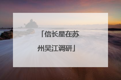 信长星在苏州吴江调研