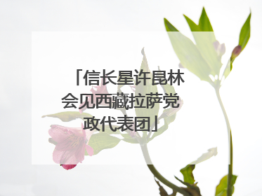信长星许昆林会见西藏拉萨党政代表团