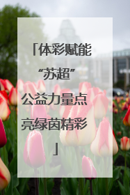 体彩赋能“苏超” 公益力量点亮绿茵精彩