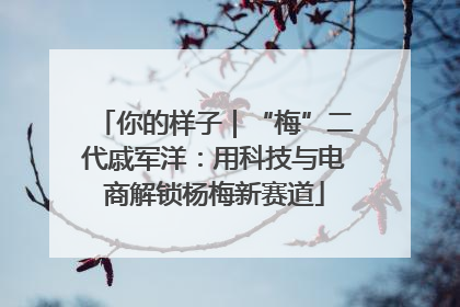 你的样子｜“梅”二代戚军洋：用科技与电商解锁杨梅新赛道