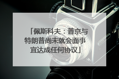 佩斯科夫：普京与特朗普尚未就会面事宜达成任何协议