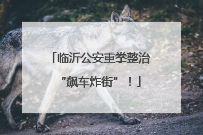临沂公安重拳整治“飙车炸街”！