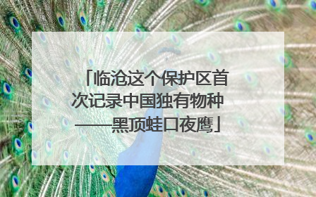 临沧这个保护区首次记录中国独有物种——黑顶蛙口夜鹰