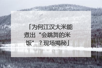 为何江汉大米能煮出“会跳舞的米饭”？现场揭秘
