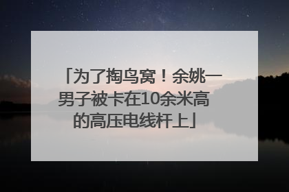 为了掏鸟窝！余姚一男子被卡在10余米高的高压电线杆上