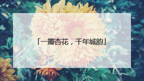 一瓣杏花，千年城韵