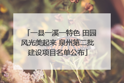 一县一溪一特色 田园风光美起来 泉州第二批建设项目名单公布