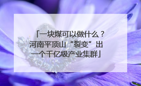 一块煤可以做什么？河南平顶山“裂变”出一个千亿级产业集群