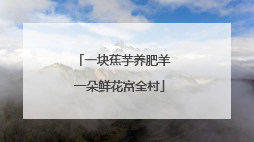 一块蕉芋养肥羊 一朵鲜花富全村