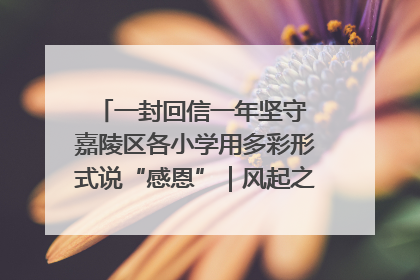 一封回信一年坚守 嘉陵区各小学用多彩形式说“感恩”｜风起之江 扶摇直上