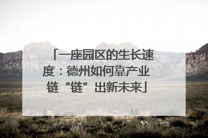 一座园区的生长速度：德州如何靠产业链“链”出新未来