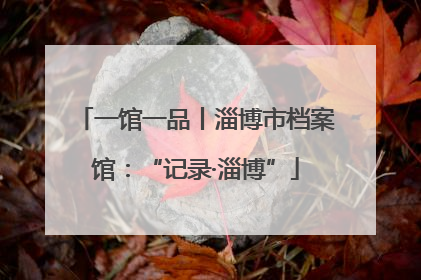 一馆一品丨淄博市档案馆：“记录·淄博”