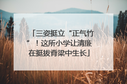 三姿挺立“正气竹”！这所小学让清廉在挺拔脊梁中生长