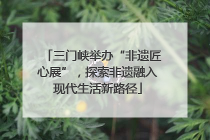 三门峡举办“非遗匠心展”，探索非遗融入现代生活新路径