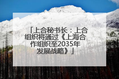 上合秘书长：上合组织将通过《上海合作组织至2035年发展战略》