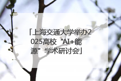 上海交通大学举办2025高校“AI+能源”学术研讨会