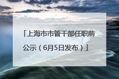 上海市市管干部任职前公示（6月5日发布）