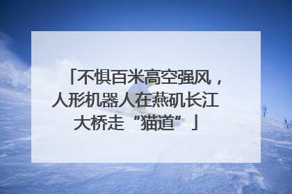 不惧百米高空强风，人形机器人在燕矶长江大桥走“猫道”