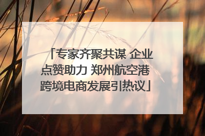 专家齐聚共谋 企业点赞助力 郑州航空港跨境电商发展引热议