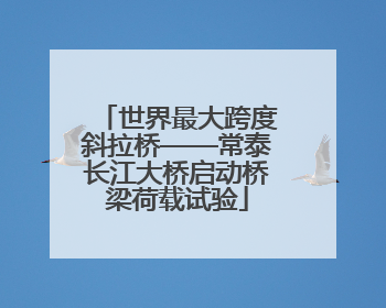 世界最大跨度斜拉桥——常泰长江大桥启动桥梁荷载试验