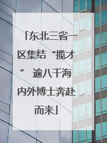 东北三省一区集结“揽才” 逾八千海内外博士奔赴而来