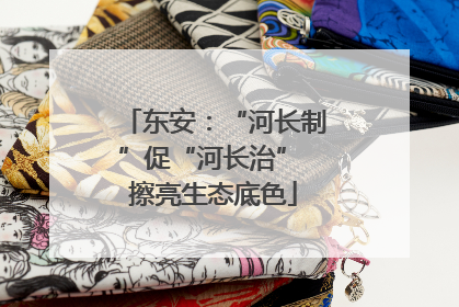 东安：“河长制”促“河长治” 擦亮生态底色