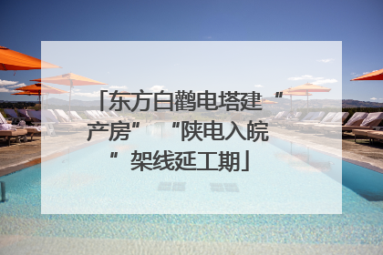 东方白鹳电塔建“产房” “陕电入皖”架线延工期