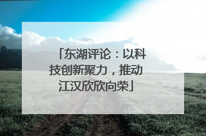 东湖评论：以科技创新聚力，推动江汉欣欣向荣