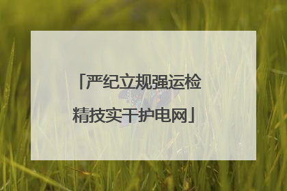 严纪立规强运检 精技实干护电网