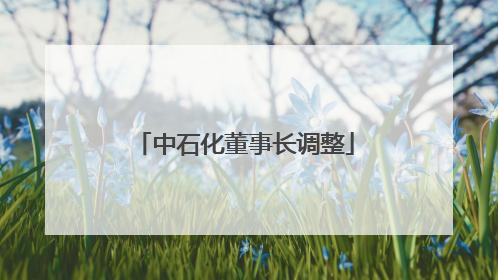 中石化董事长调整