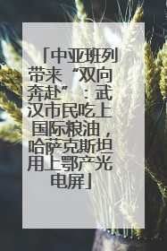 中亚班列带来“双向奔赴”：武汉市民吃上国际粮油，哈萨克斯坦用上鄂产光电屏