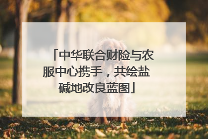 中华联合财险与农服中心携手，共绘盐碱地改良蓝图