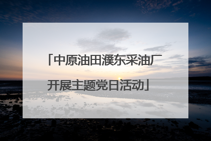 中原油田濮东采油厂开展主题党日活动