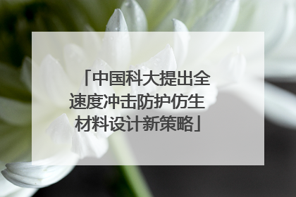 中国科大提出全速度冲击防护仿生材料设计新策略