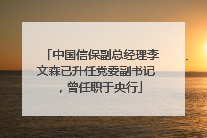 中国信保副总经理李文森已升任党委副书记，曾任职于央行