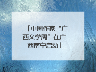 中国作家“广西文学周”在广西南宁启动