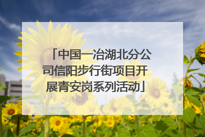中国一冶湖北分公司信阳步行街项目开展青安岗系列活动