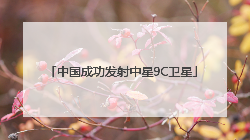 中国成功发射中星9C卫星