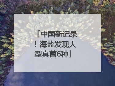 中国新记录！海盐发现大型真菌6种