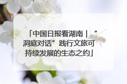 中国日报看湖南｜“洞庭对话”践行文旅可持续发展的生态之约