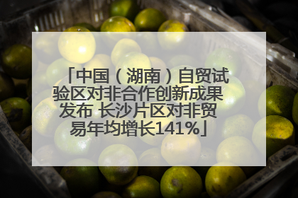 中国（湖南）自贸试验区对非合作创新成果发布 长沙片区对非贸易年均增长141%